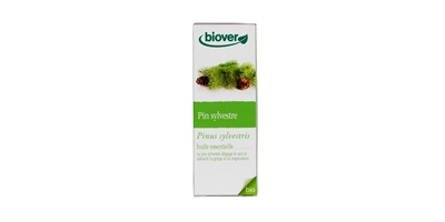 Pin sylvestre