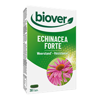 Echinacea forte